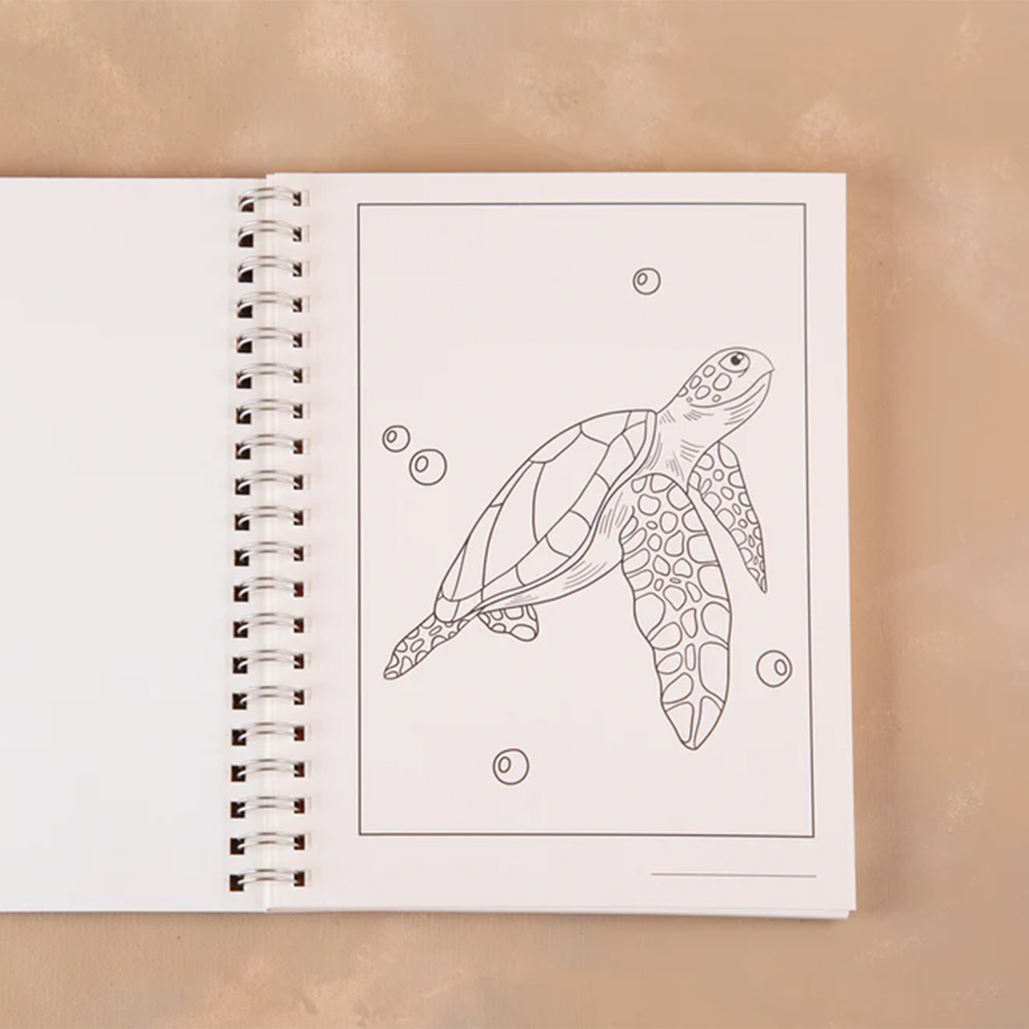 LIBRO OCEANA LAUEM 4