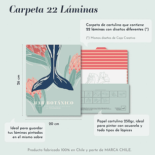 CARPETA TITA BIANCHI MAR BOTÁNICO