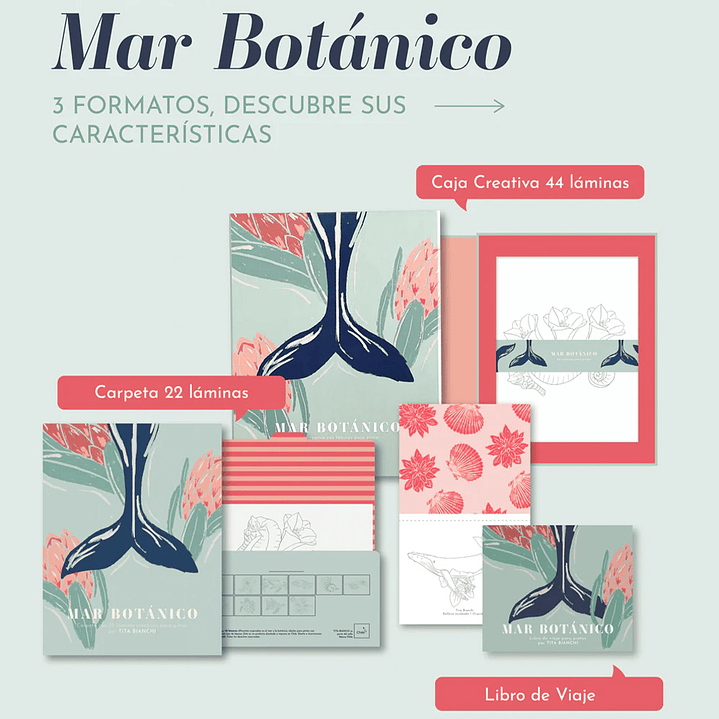CARPETA TITA BIANCHI MAR BOTÁNICO 5