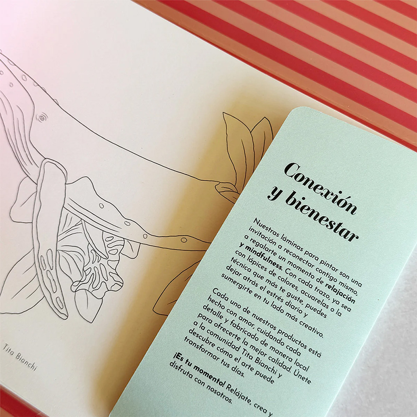 CARPETA TITA BIANCHI MAR BOTÁNICO 6