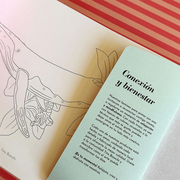 CARPETA TITA BIANCHI MAR BOTÁNICO 6