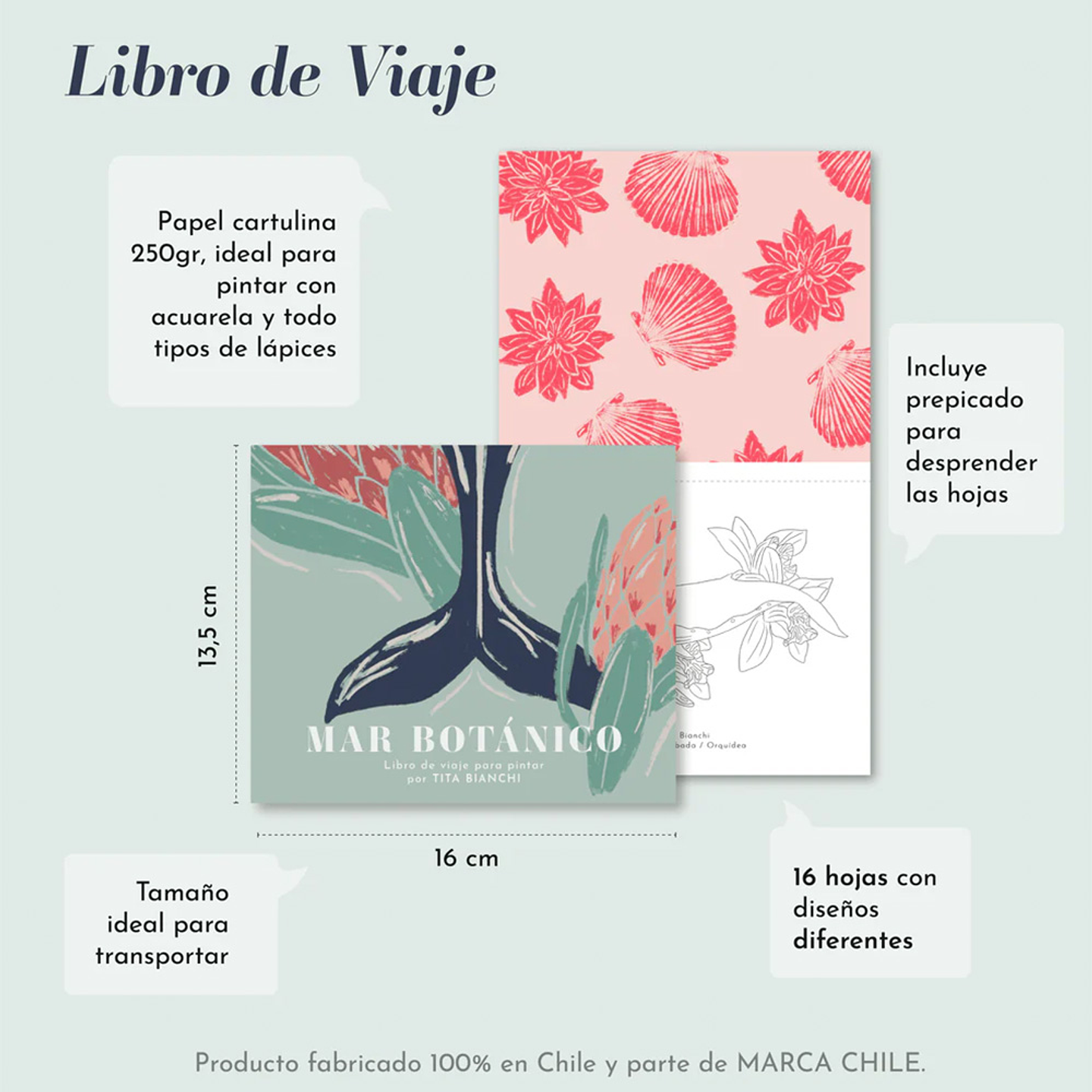 CARPETA TITA BIANCHI MAR BOTÁNICO 4