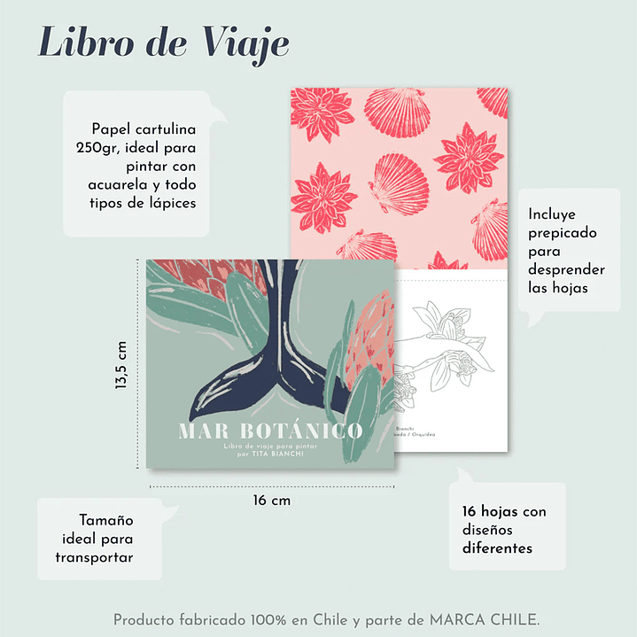 CARPETA TITA BIANCHI MAR BOTÁNICO 4