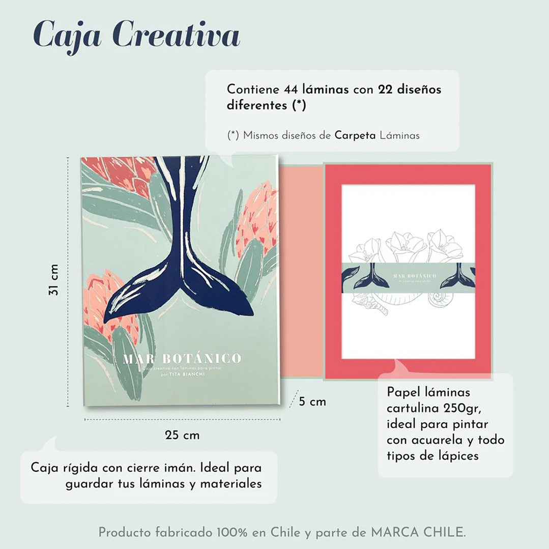 CARPETA TITA BIANCHI MAR BOTÁNICO 3