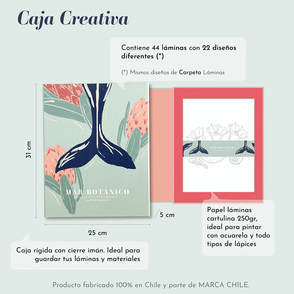 CARPETA TITA BIANCHI MAR BOTÁNICO 3