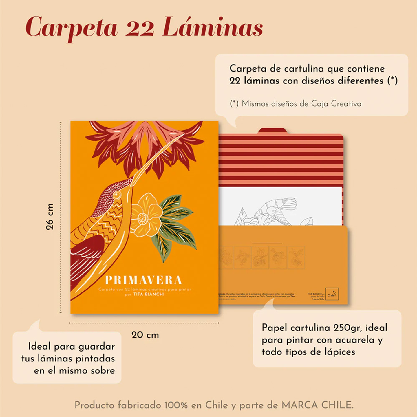 CARPETA TITA BIANCHI PRIMAVERA 2