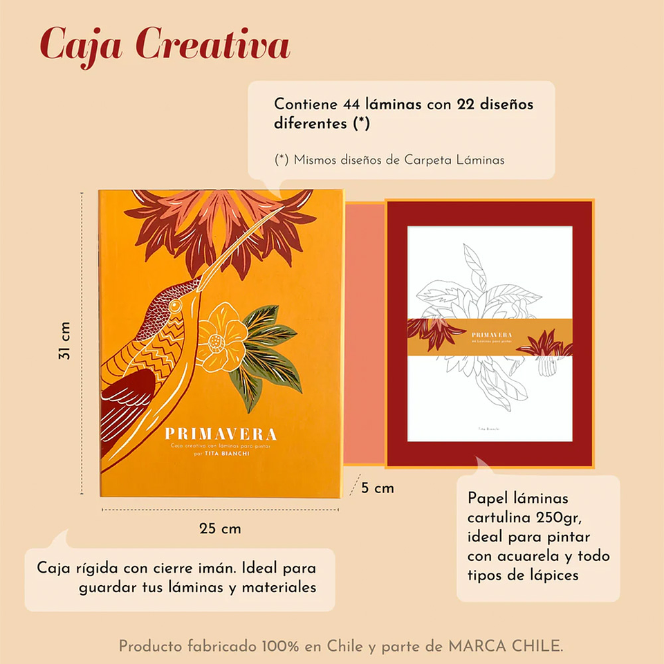 CARPETA TITA BIANCHI PRIMAVERA 4