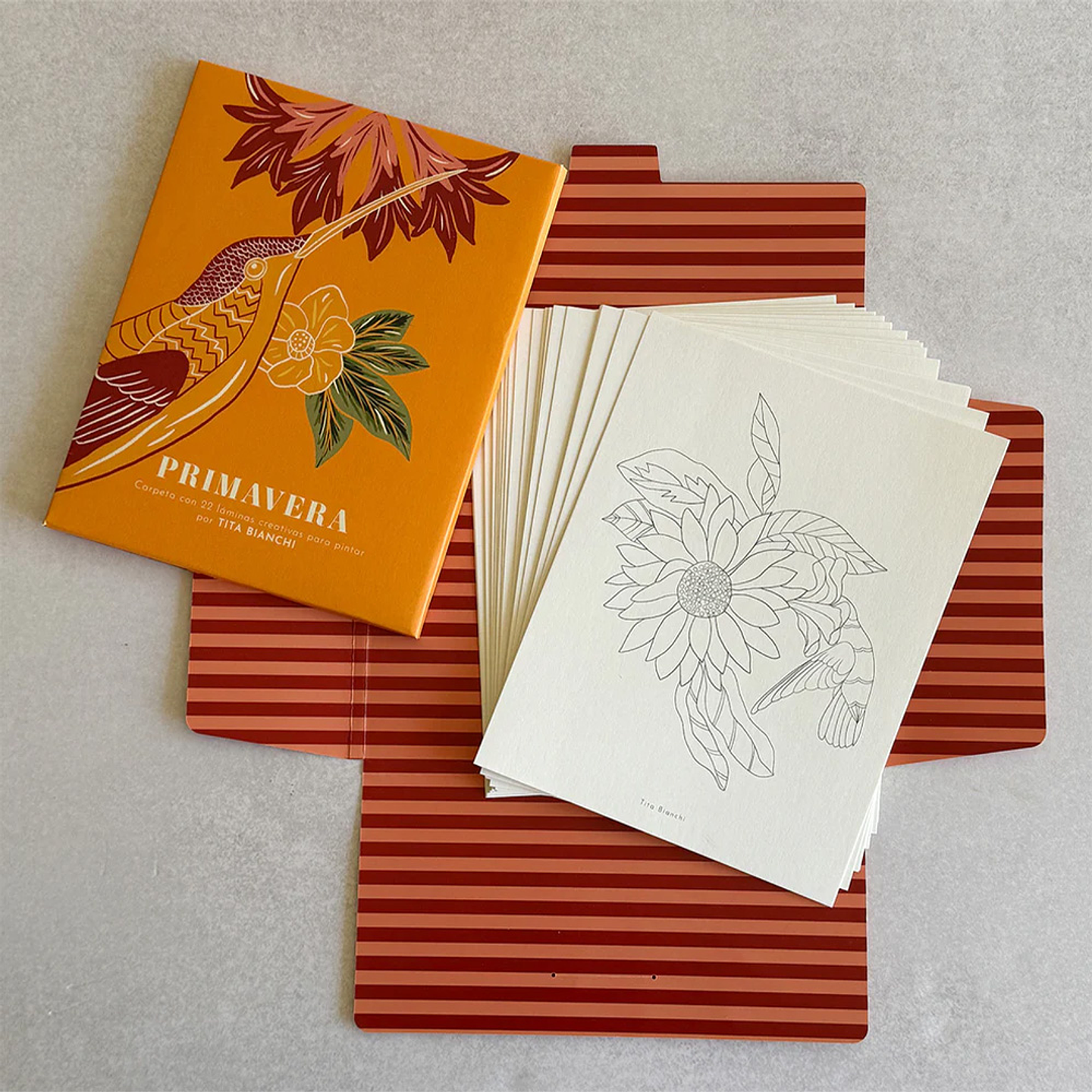 CARPETA TITA BIANCHI PRIMAVERA 1