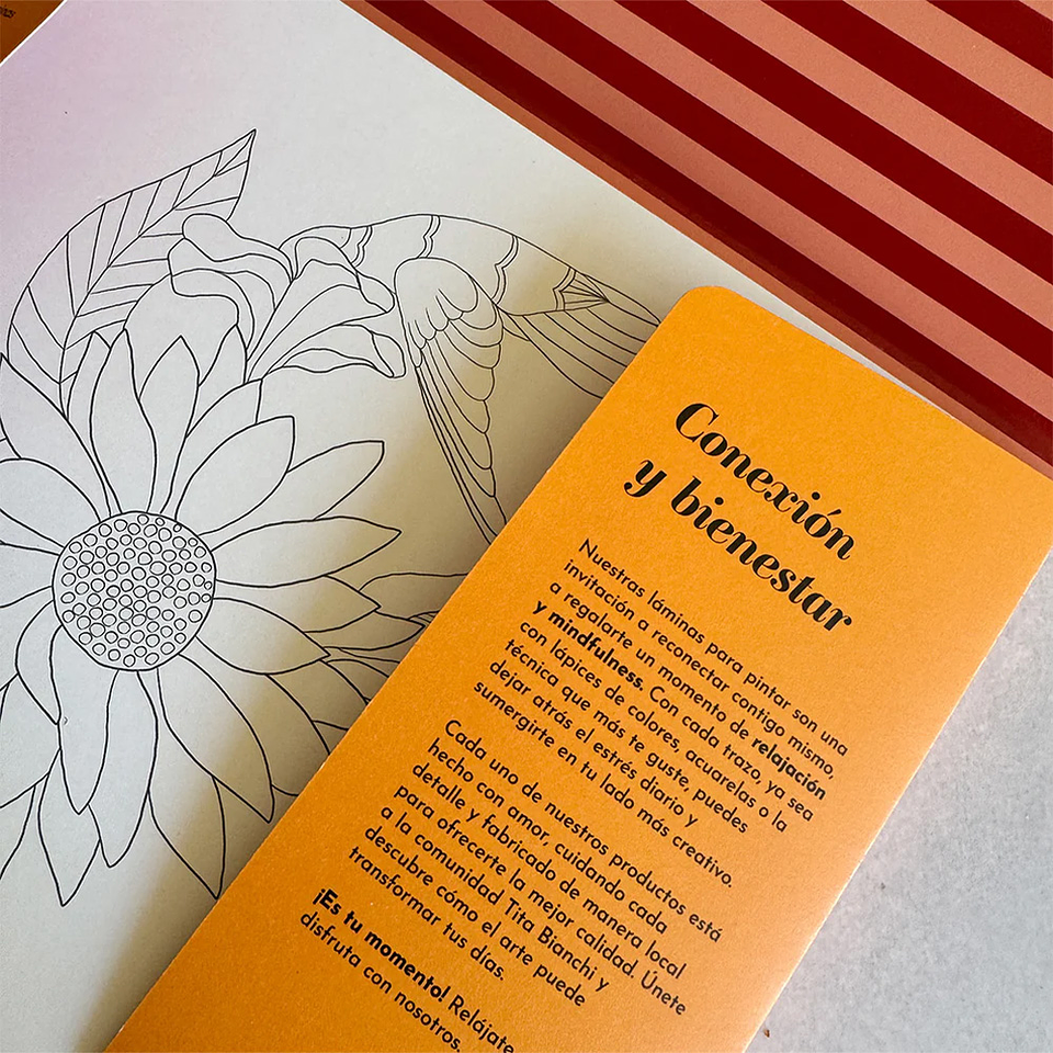 CARPETA TITA BIANCHI PRIMAVERA 6