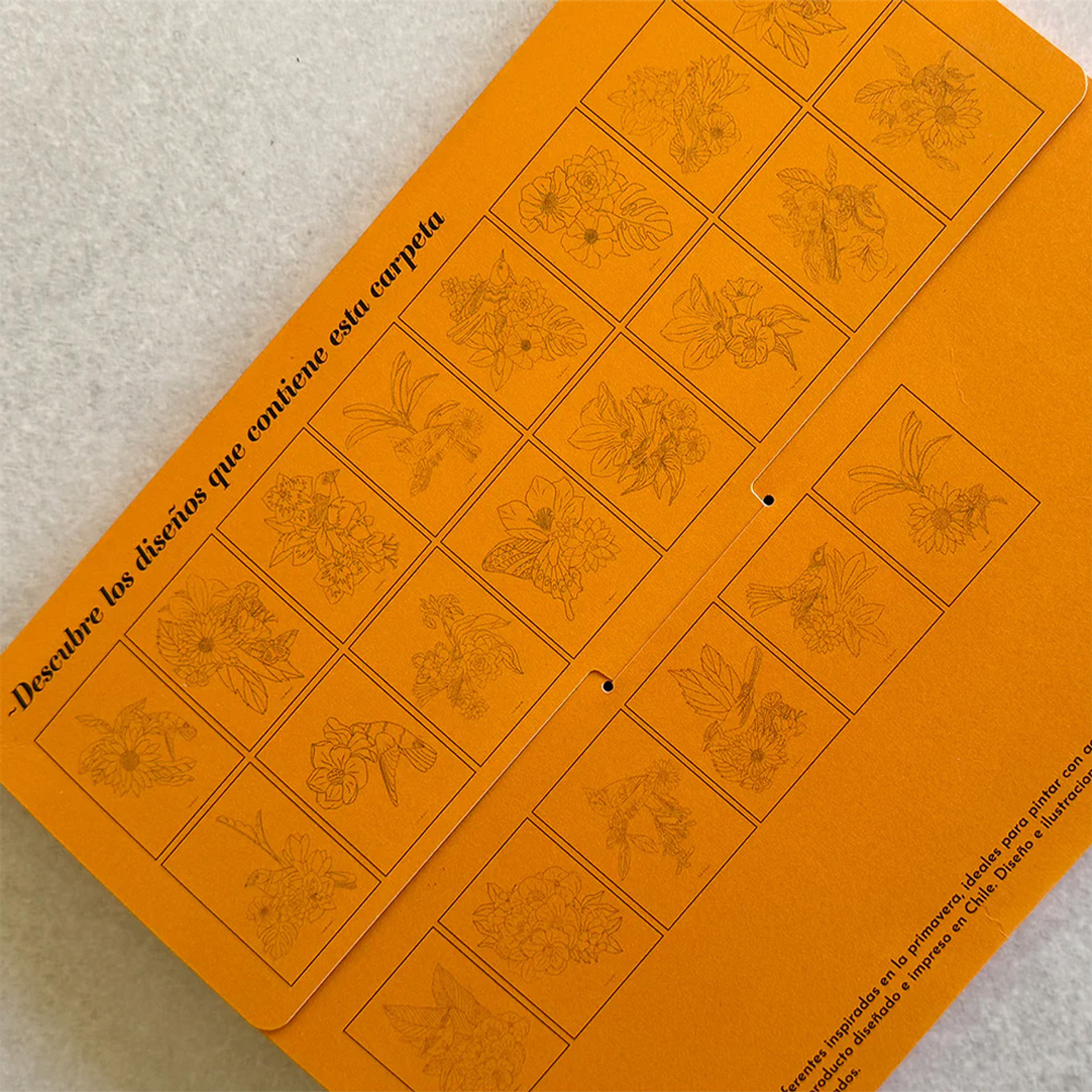 CARPETA TITA BIANCHI PRIMAVERA 7