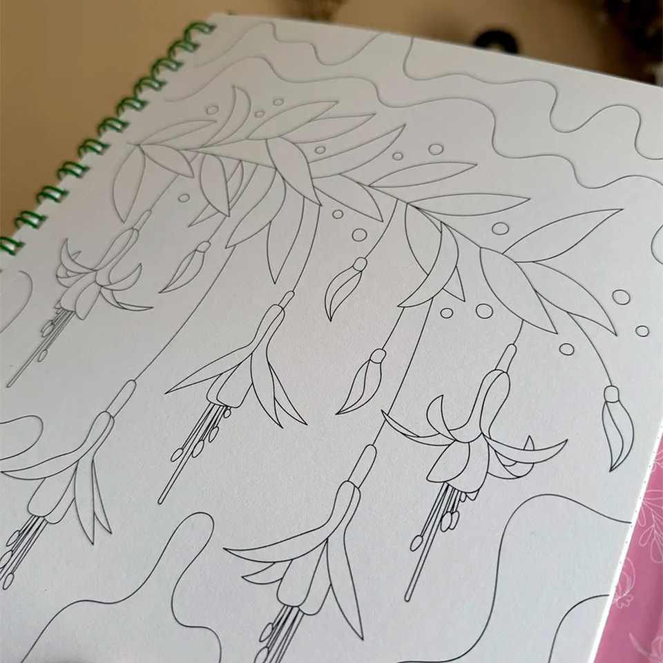 ENTRE RÍOS Y HUMEDALES 2