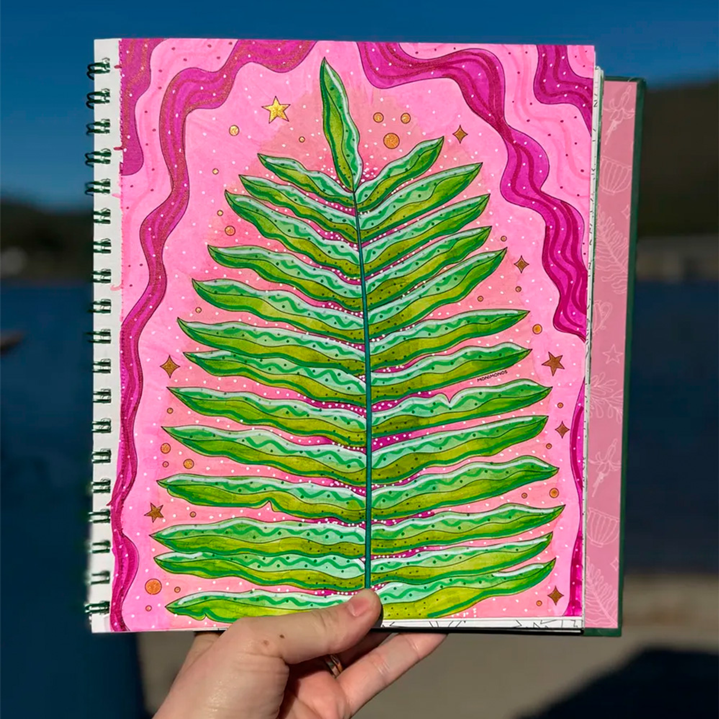 ENTRE RÍOS Y HUMEDALES 3