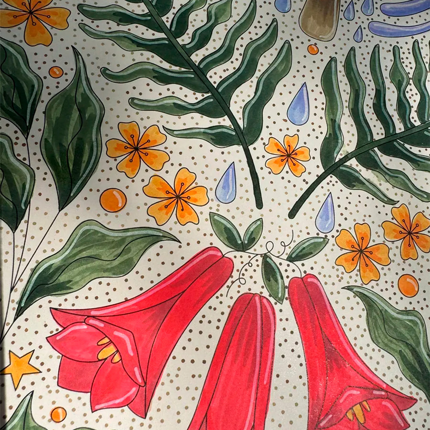 ENTRE RÍOS Y HUMEDALES 5