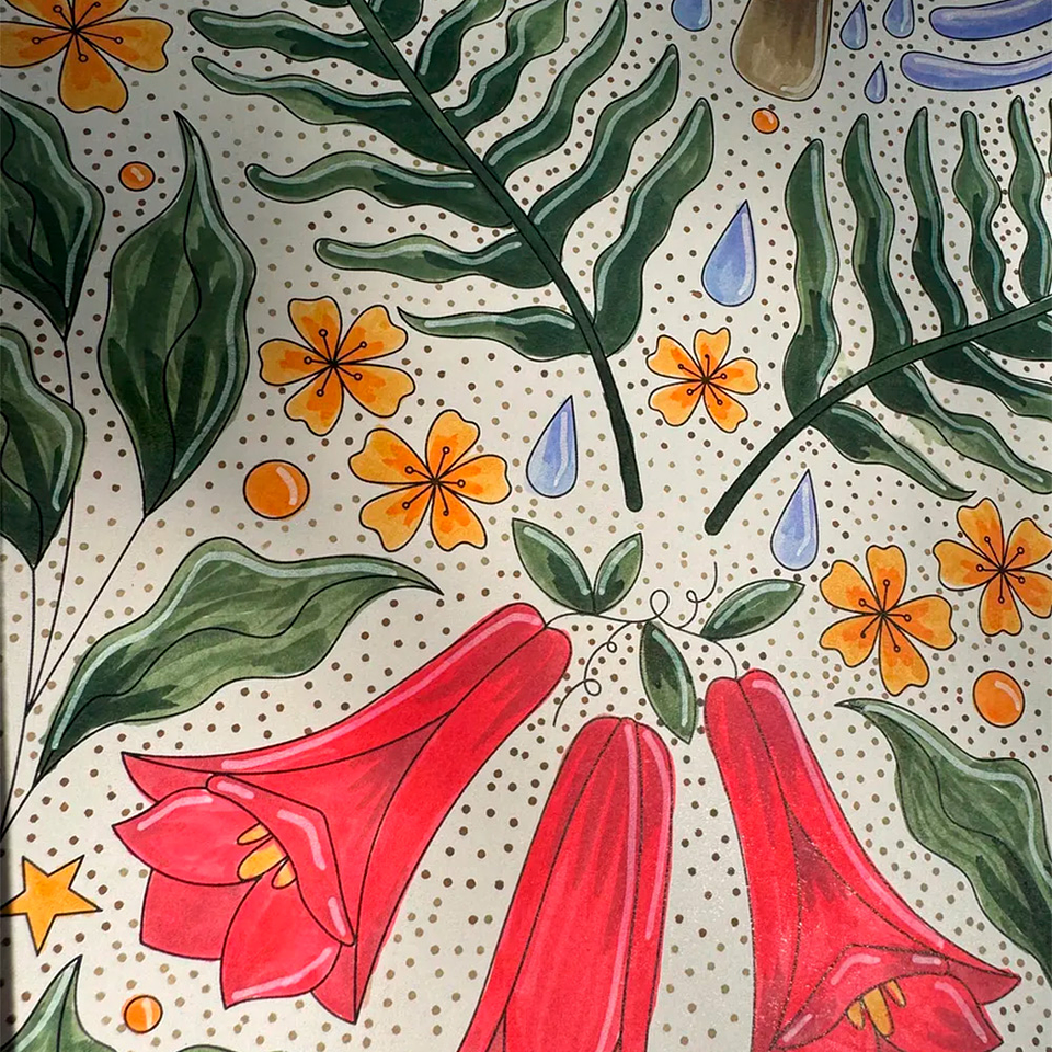 ENTRE RÍOS Y HUMEDALES 5