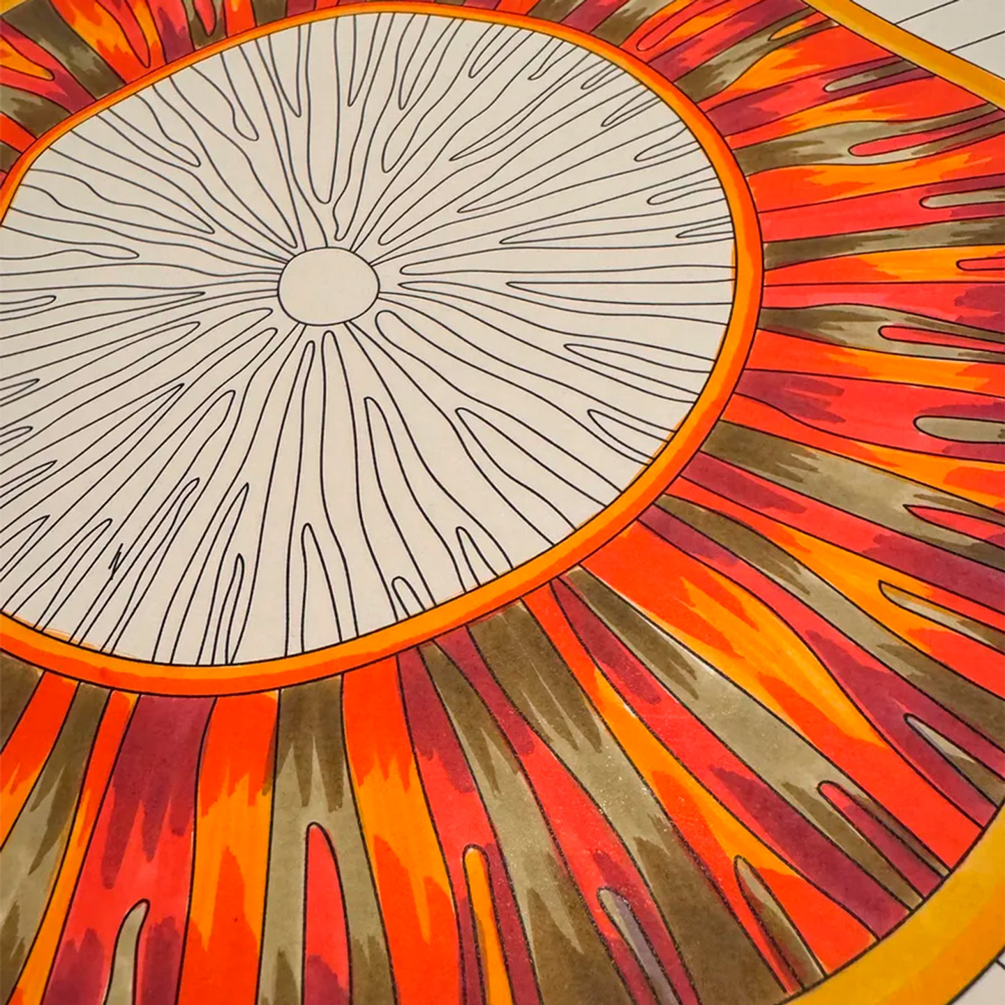 ENTRE RÍOS Y HUMEDALES 7