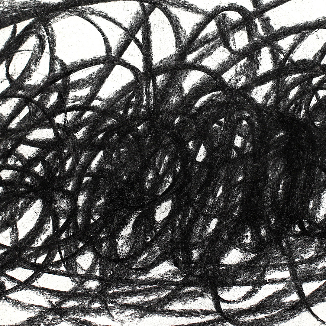 Set De Barras De Carboncillo De Sauce, 20 Piezas 8