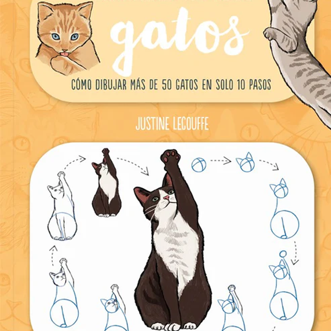 DIBUJAR EN 10 PASOS GATOS  1