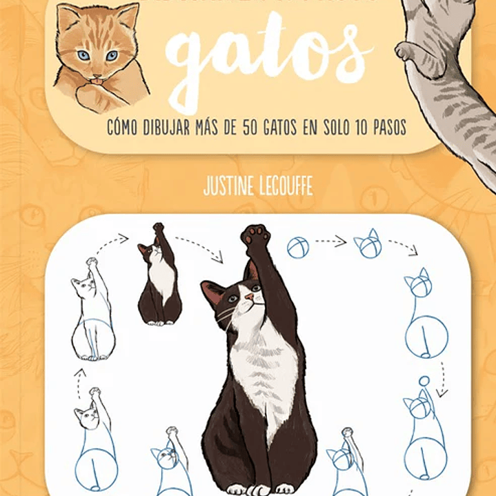 DIBUJAR EN 10 PASOS GATOS  1