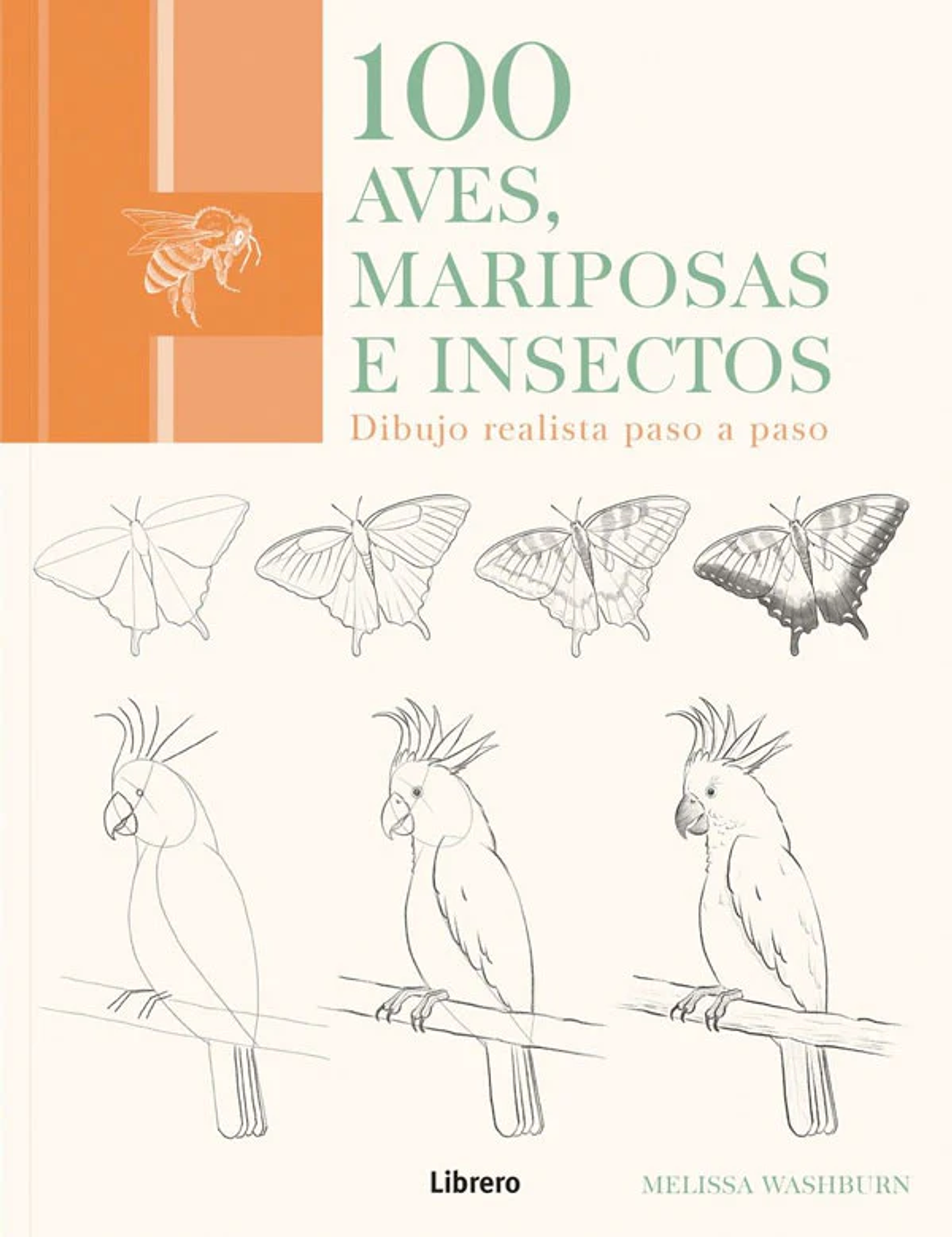 100 AVES MARIPOSAS E INSECTOS DIBUJOS REALISTAS PASO A PASO  1