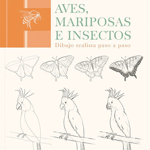 100 AVES MARIPOSAS E INSECTOS DIBUJOS REALISTAS PASO A PASO 
