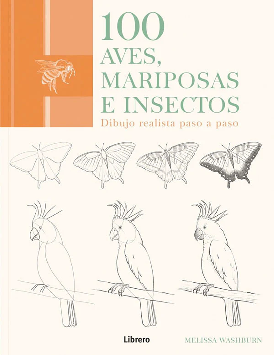 100 AVES MARIPOSAS E INSECTOS DIBUJOS REALISTAS PASO A PASO  1