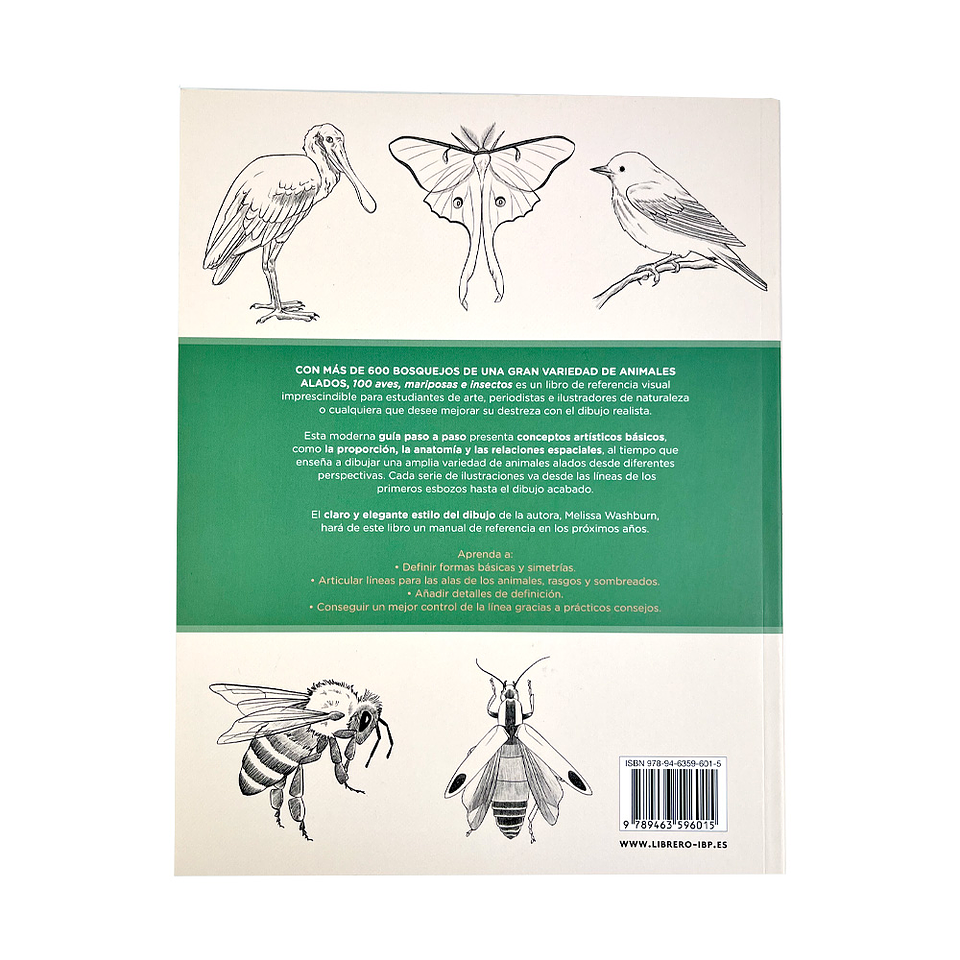 100 AVES MARIPOSAS E INSECTOS DIBUJOS REALISTAS PASO A PASO  5