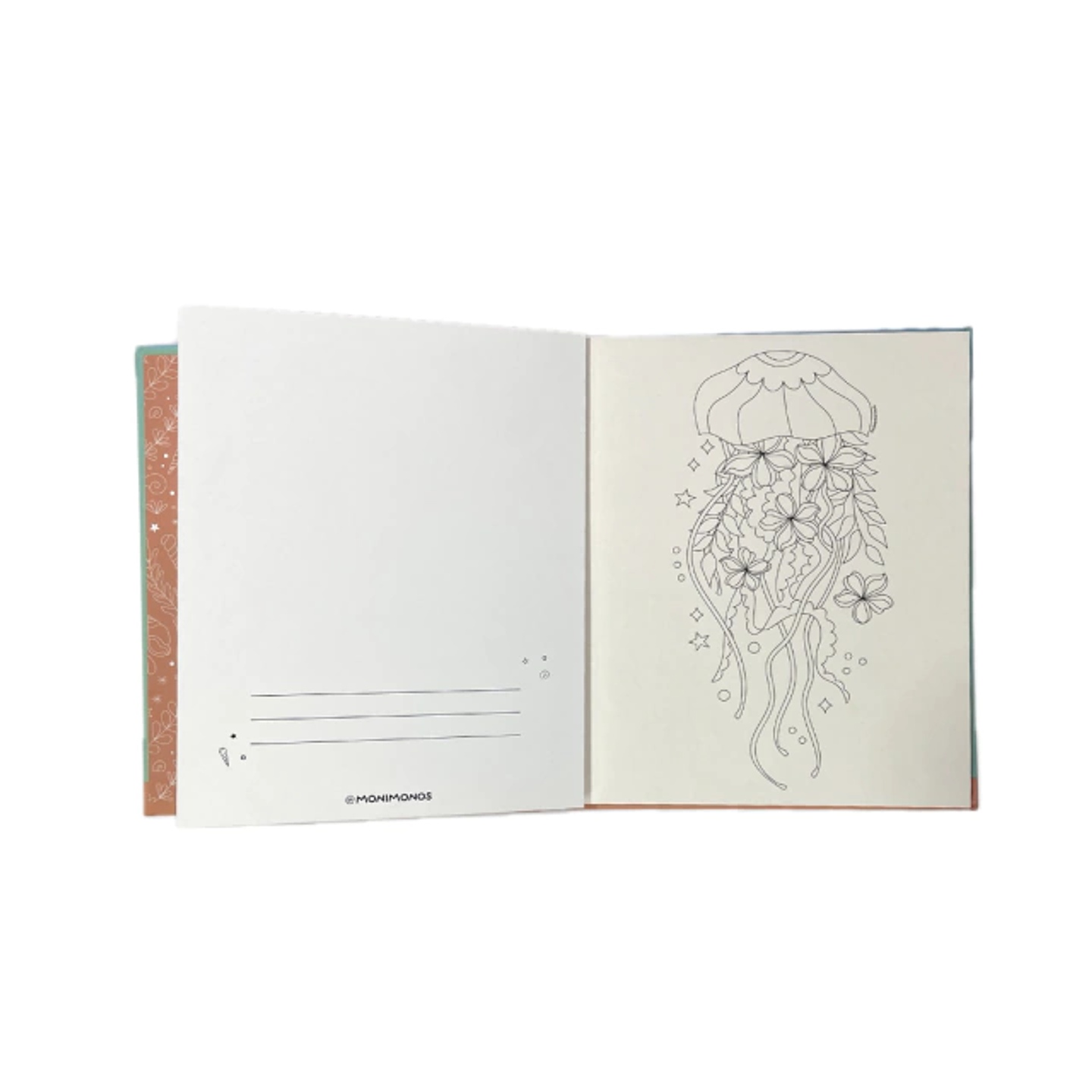 ENTRE ALGAS Y CORALES  3