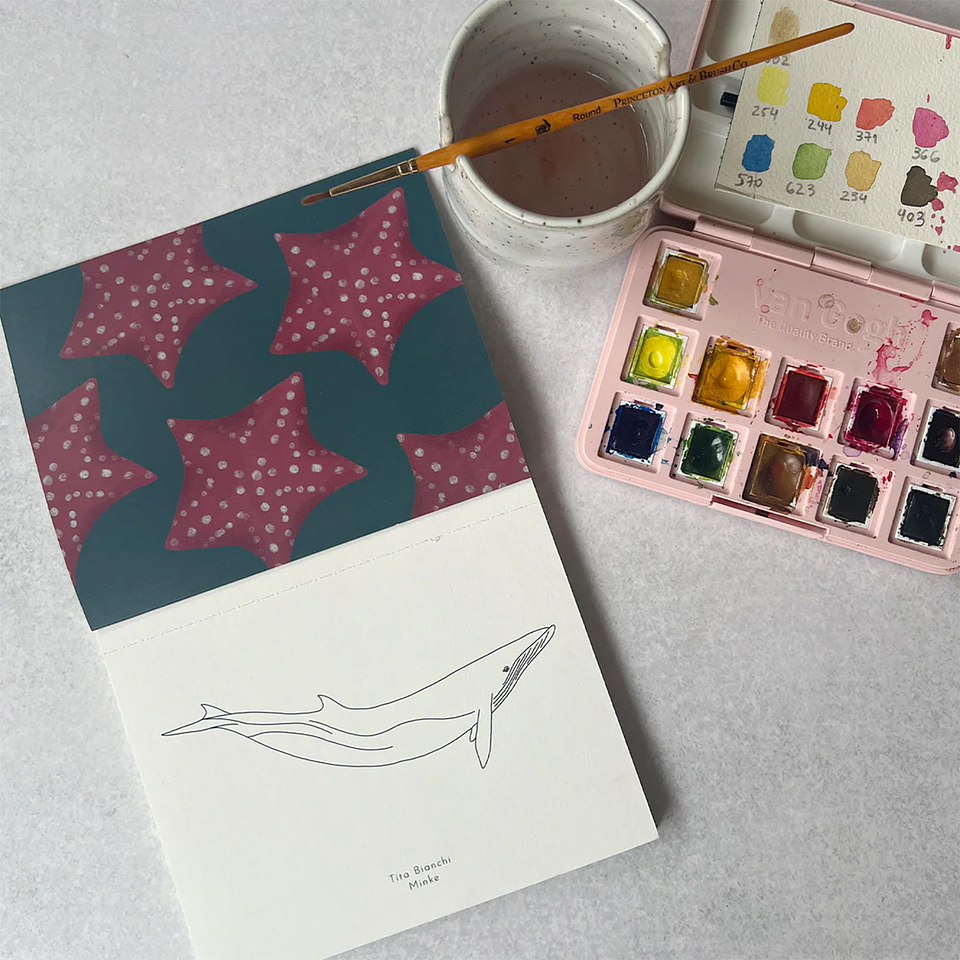 LIBRO DE VIAJE TITA BIANCHI MINKE 2