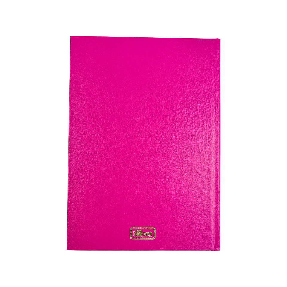 AGENDA EJECUTIVA TILIBRA NAPOLI M5 ROSADA  2