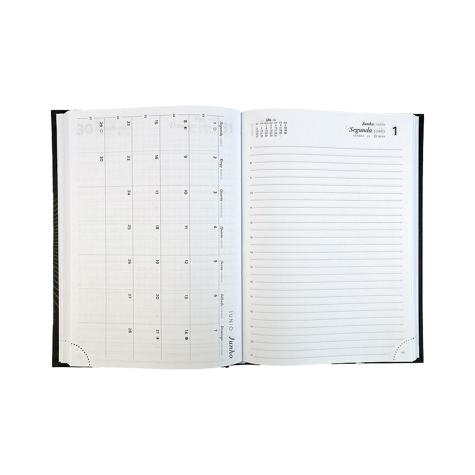 AGENDA TILIBRA PRATIKA NEGRA M6 2026  3