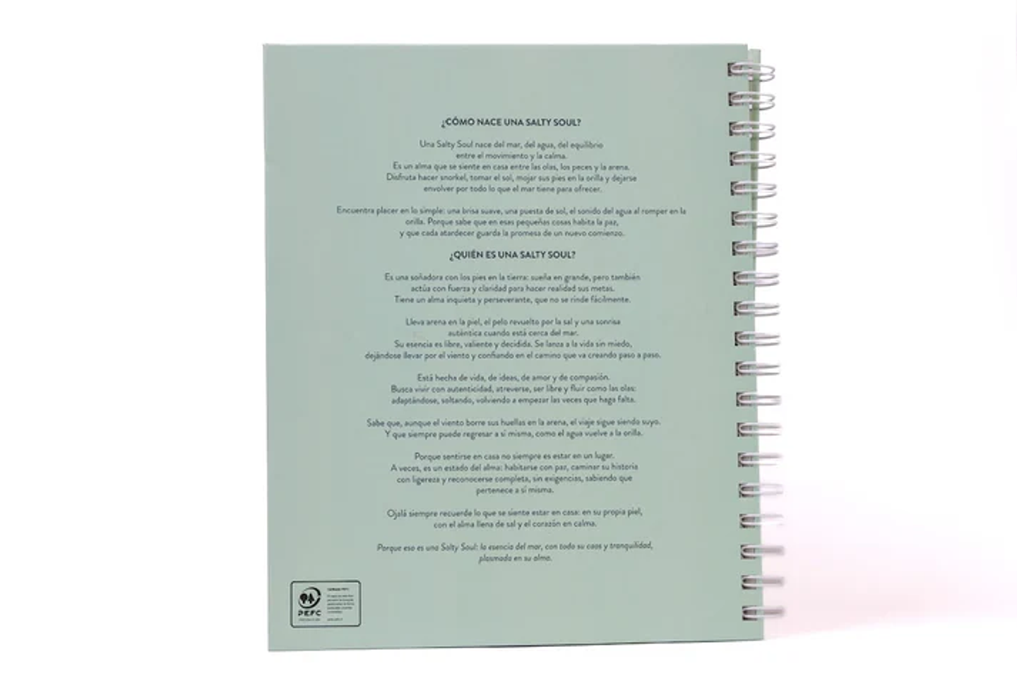 LIBRO SALTY SOUL  2