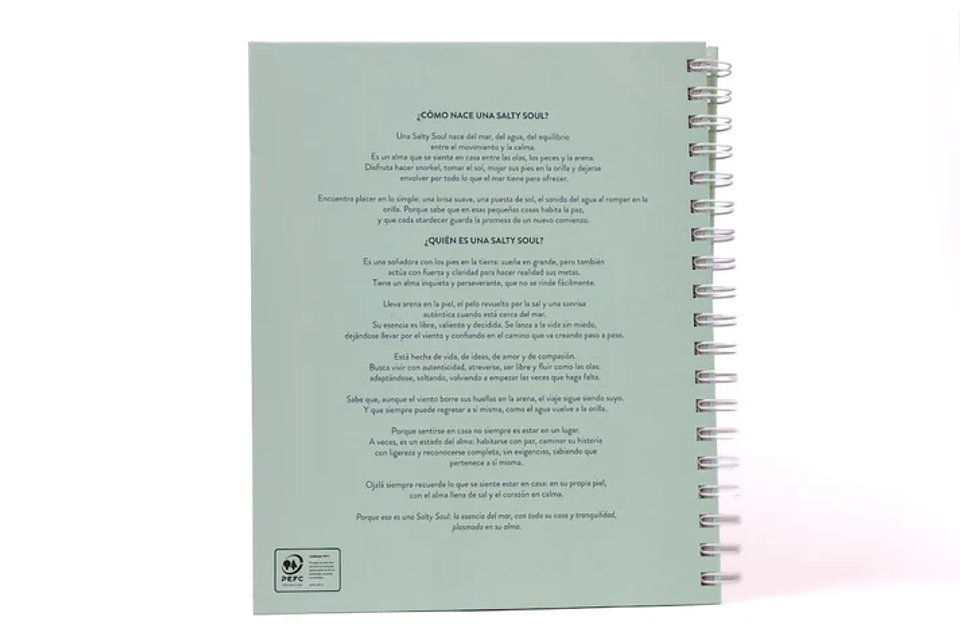 LIBRO SALTY SOUL  2
