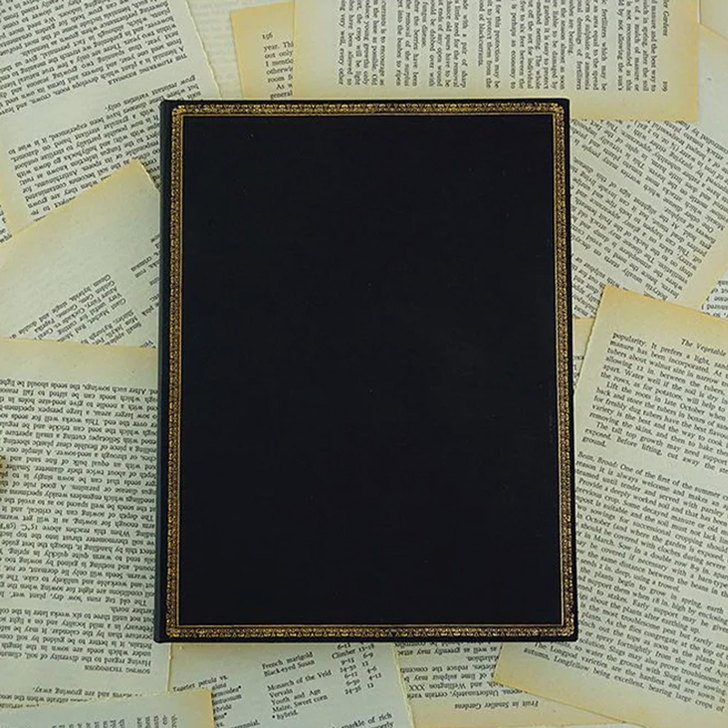 LIBRETA MINI TD PLB BLACK EDITION (LIN)  4