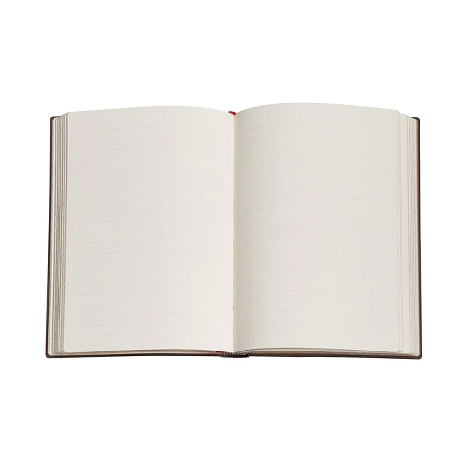 LIBRETA ULTRA TD PBL VAN GOGHS IRISES (LIN)  2