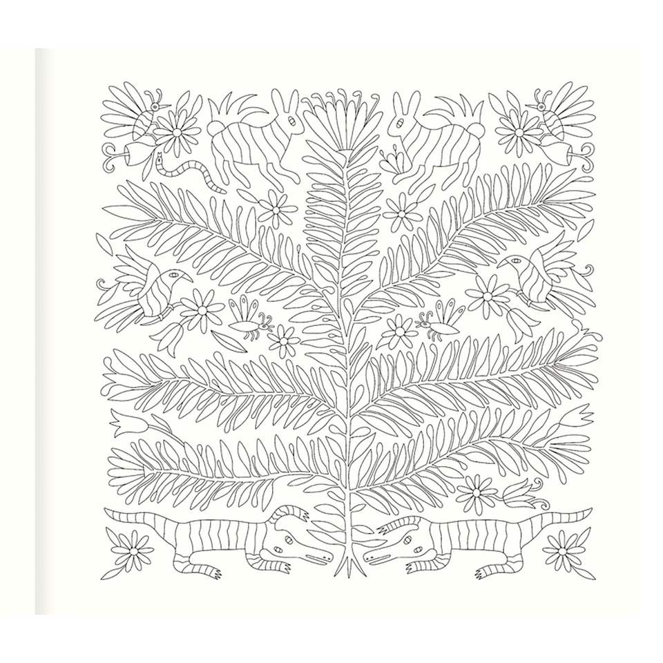 LIBRO PARA COLOREAR LATINO  2