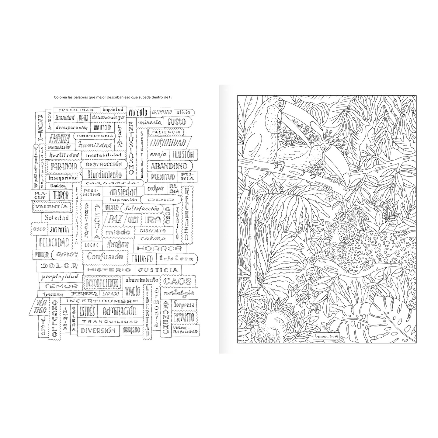 LIBRO PARA COLOREAR VIAJE DE EMOCIONES  6