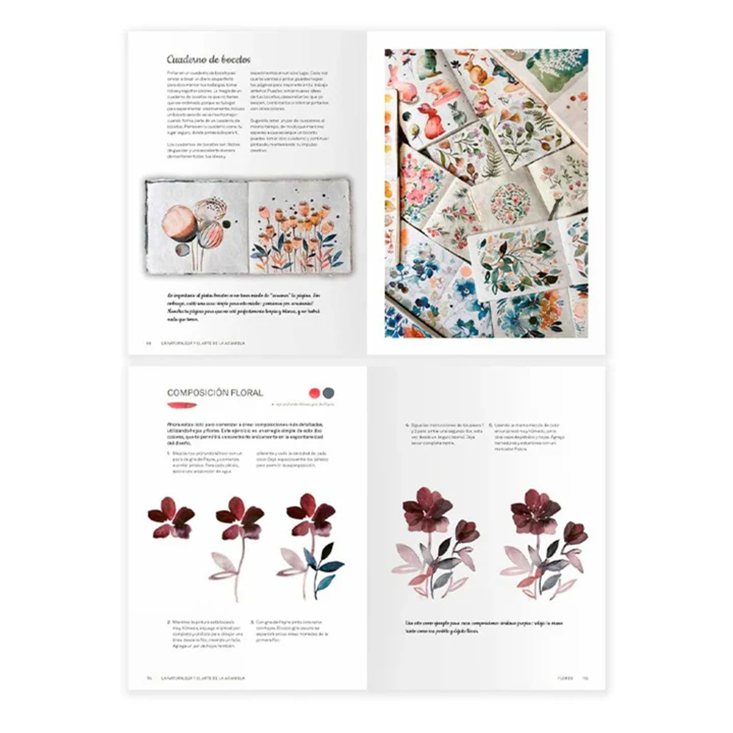 LA NATURALEZA Y EL ARTE DE LA ACUARELA  4