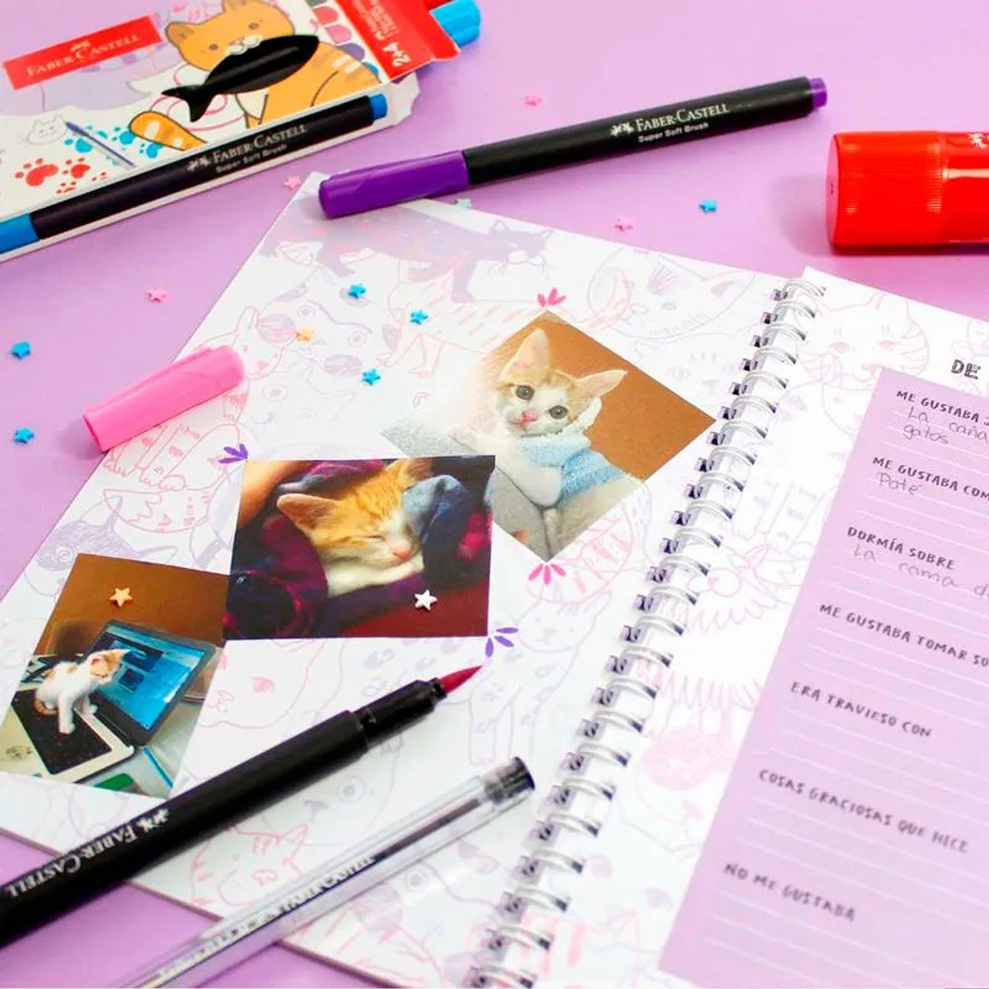 SET PET JOURNAL CAT (DIARIO DE MI GATO) +(2 TRILUX + 4 SUPERSOFT)  3