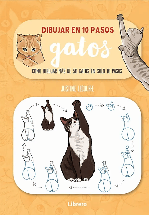 DIBUJAR EN 10 PASOS GATOS 