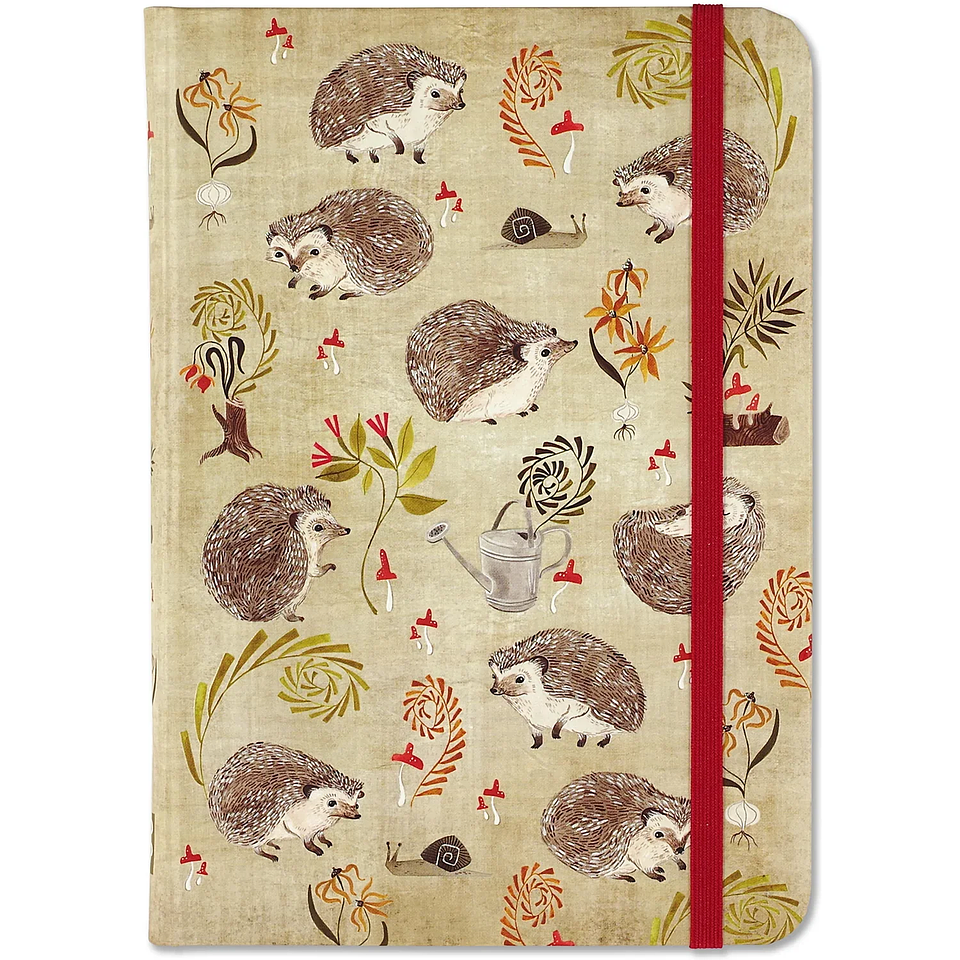 LIBRETA CHICA HEDGEHOGS JOURNAL  2