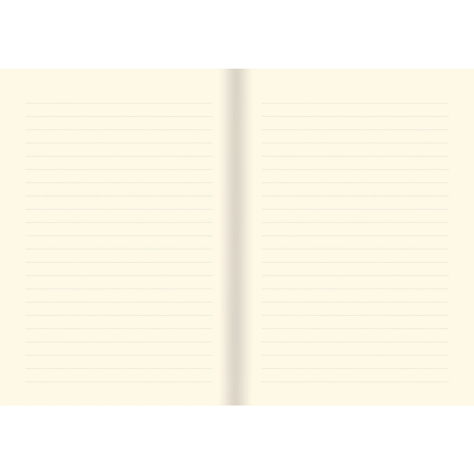 LIBRETA CHICA ART NOUVEAU JOURNAL  2