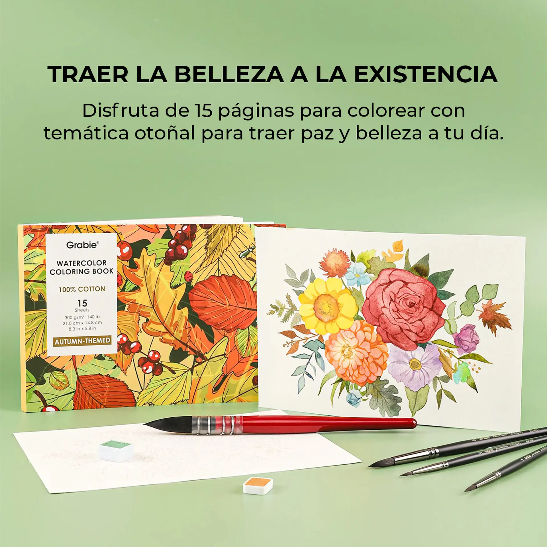 GRABIE CLUB BOX CAJA COLOREAR ACUARELA TEMÁTICA OTOÑO  7