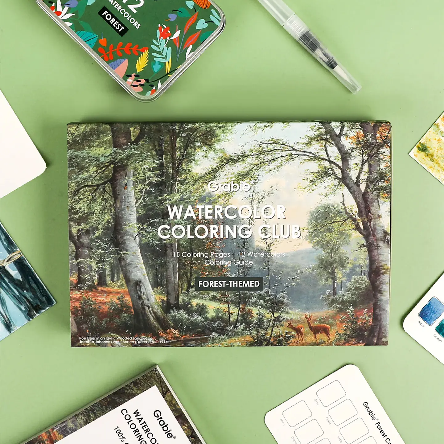 GRABIE CLUB BOX CAJA COLOREAR ACUARELA TEMÁTICA BOSQUE  6