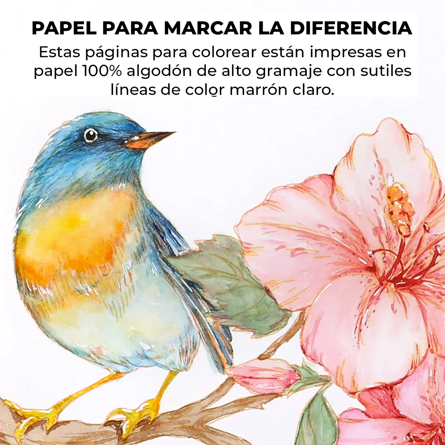 LIBRO COLOREAR ACUARELA TEMÁTICA FLORAL  5