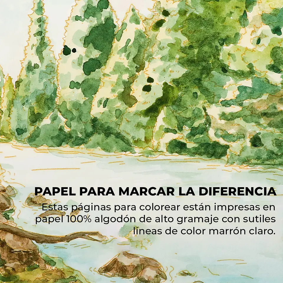 LIBRO PARA COLOREAR DE ACUARELA TEMÁTICA BOSQUE 6