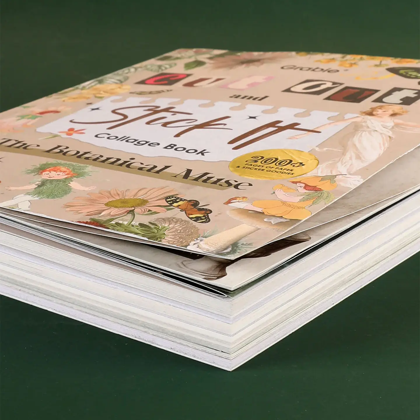 LIBRO CTIVIDADES COLLAGE LA MUSA BOTÁNICA MÁS DE 200 PÁG 3