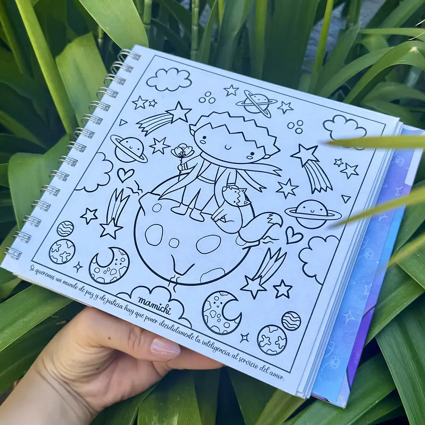 LIBRO PARA COLOREAR EL PEQUEÑO PRINCIPE 2DA EDICIÓN  7