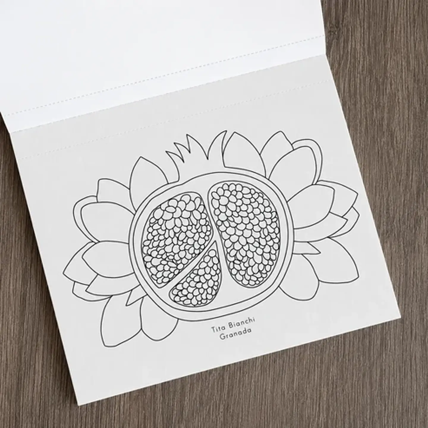 LIBRO DE VIAJE FRUTA BOTANICA  3