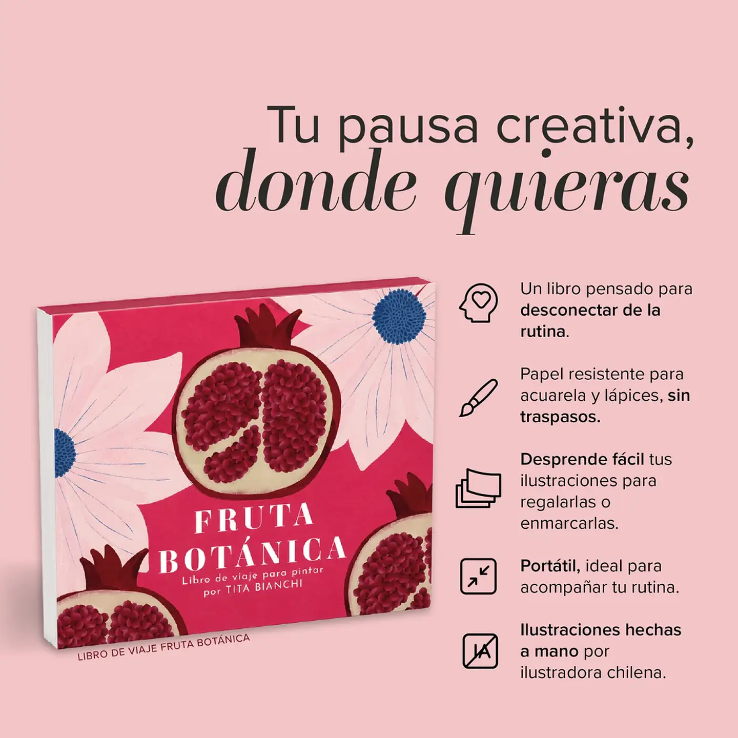 LIBRO DE VIAJE FRUTA BOTANICA  6