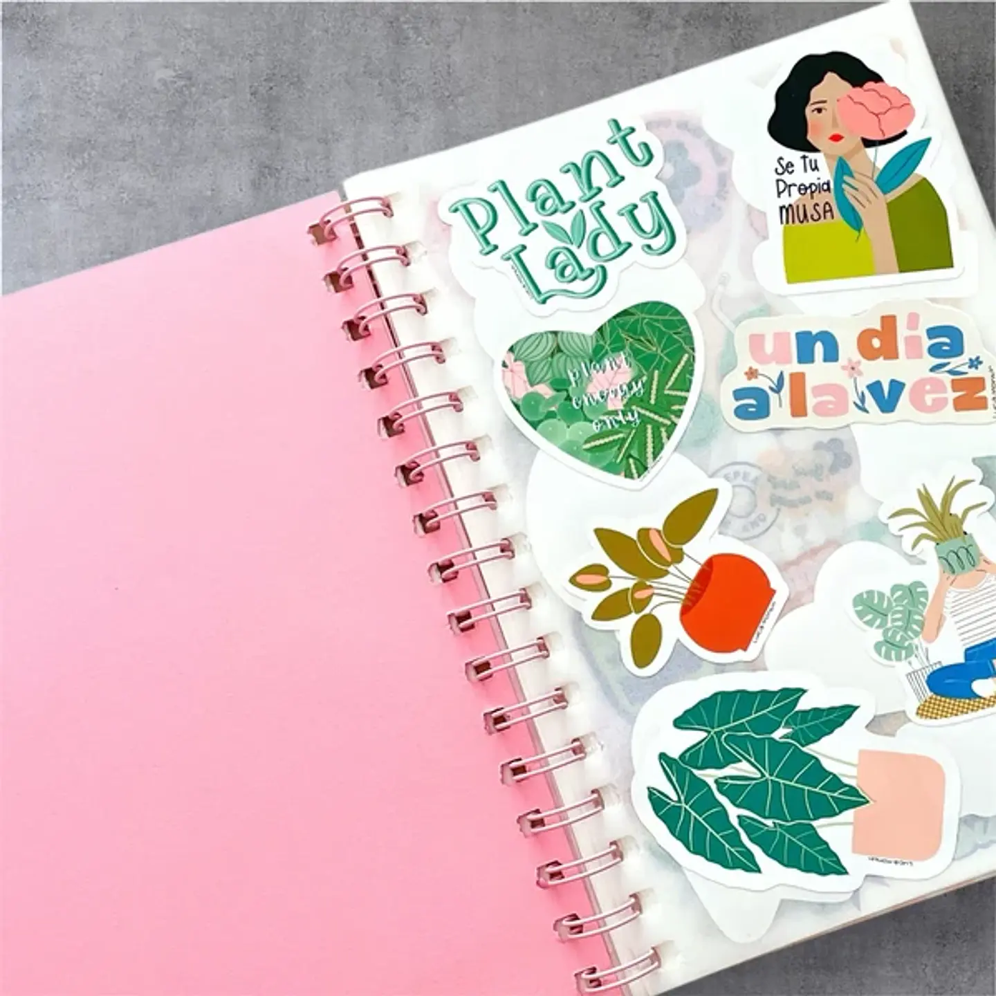 ALBUM PARA COLECCIONAR STICKERS  3
